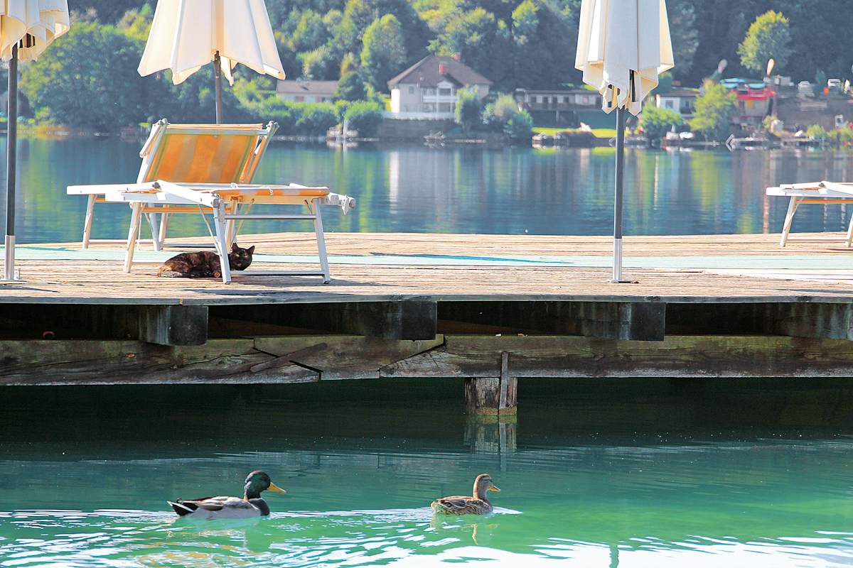 Kärntner Seen: Klopeiner See