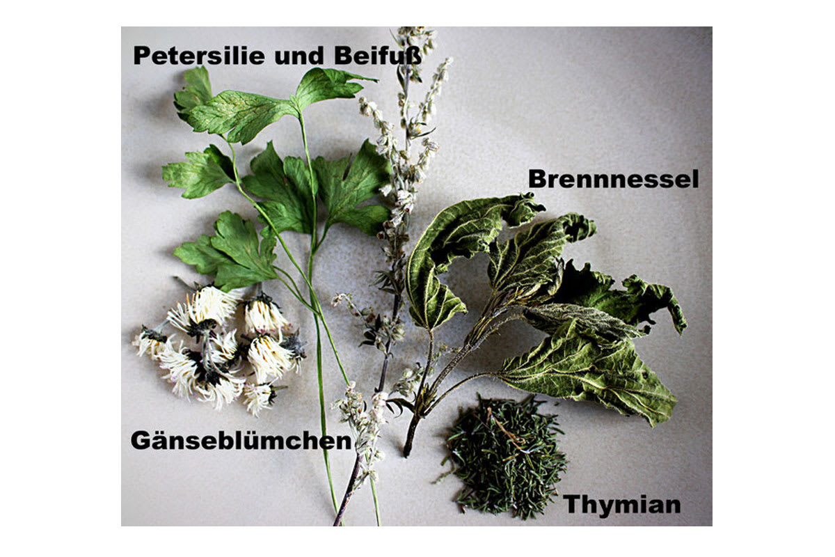 Wildkräutersalz - Zutaten