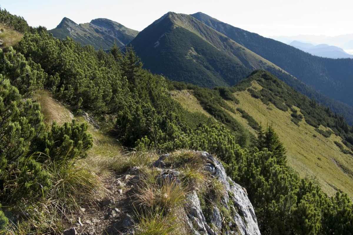 Krottenkopf und Hoher Fricken