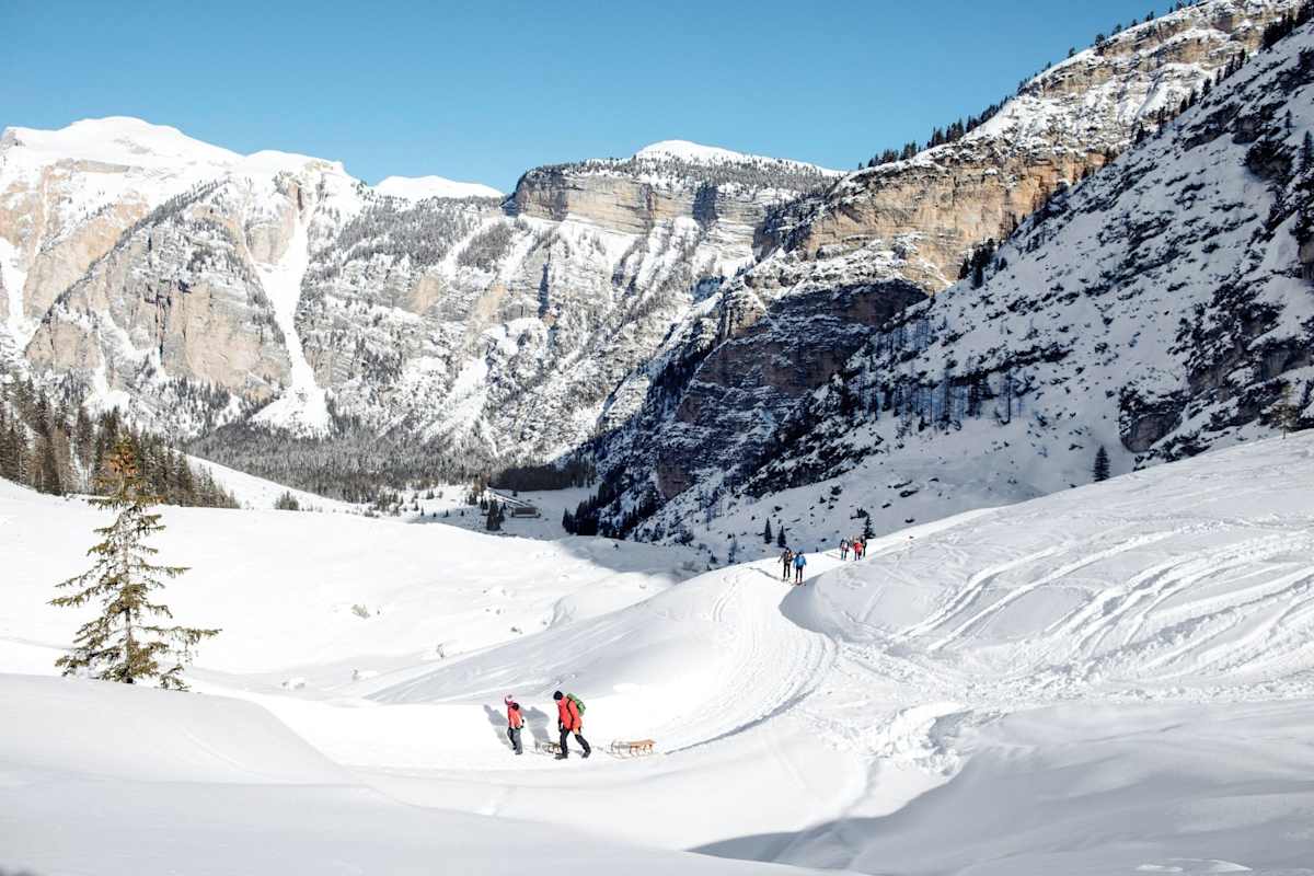 Rodler beim Aufstieg durch den Naturpark