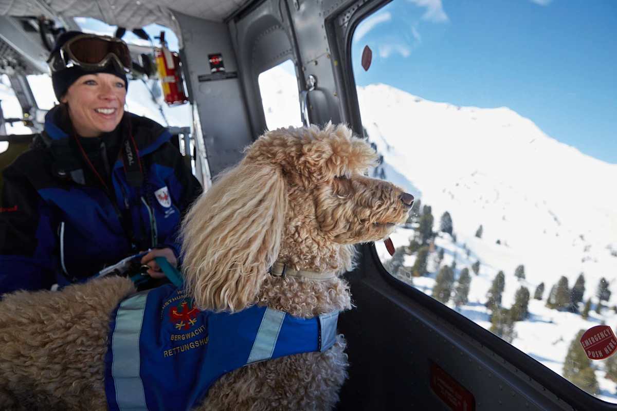 Bergretter und Suchhund im Hubschrauber
