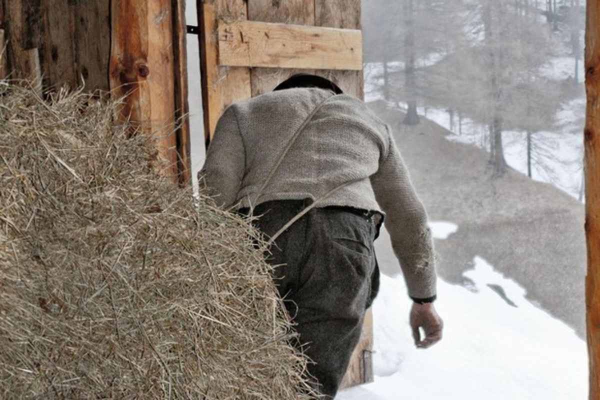 Lebensspuren eines Bergbauern: Von Demut und Genügsamkeit