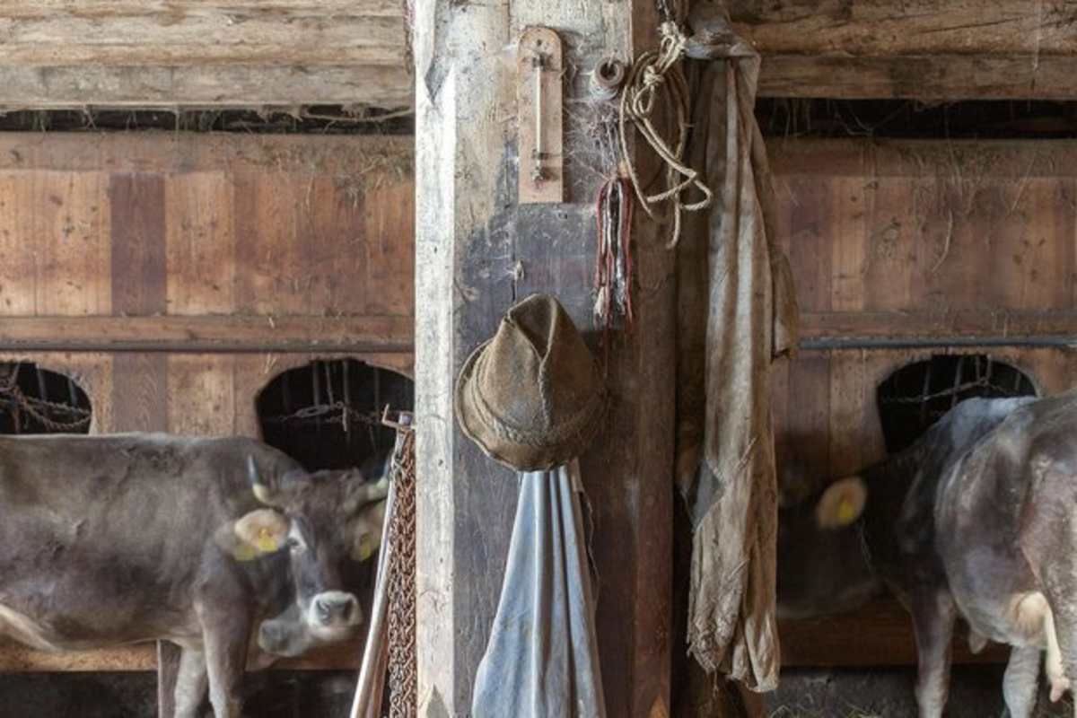 Lebensspuren eines Bergbauern: Von Demut und Genügsamkeit