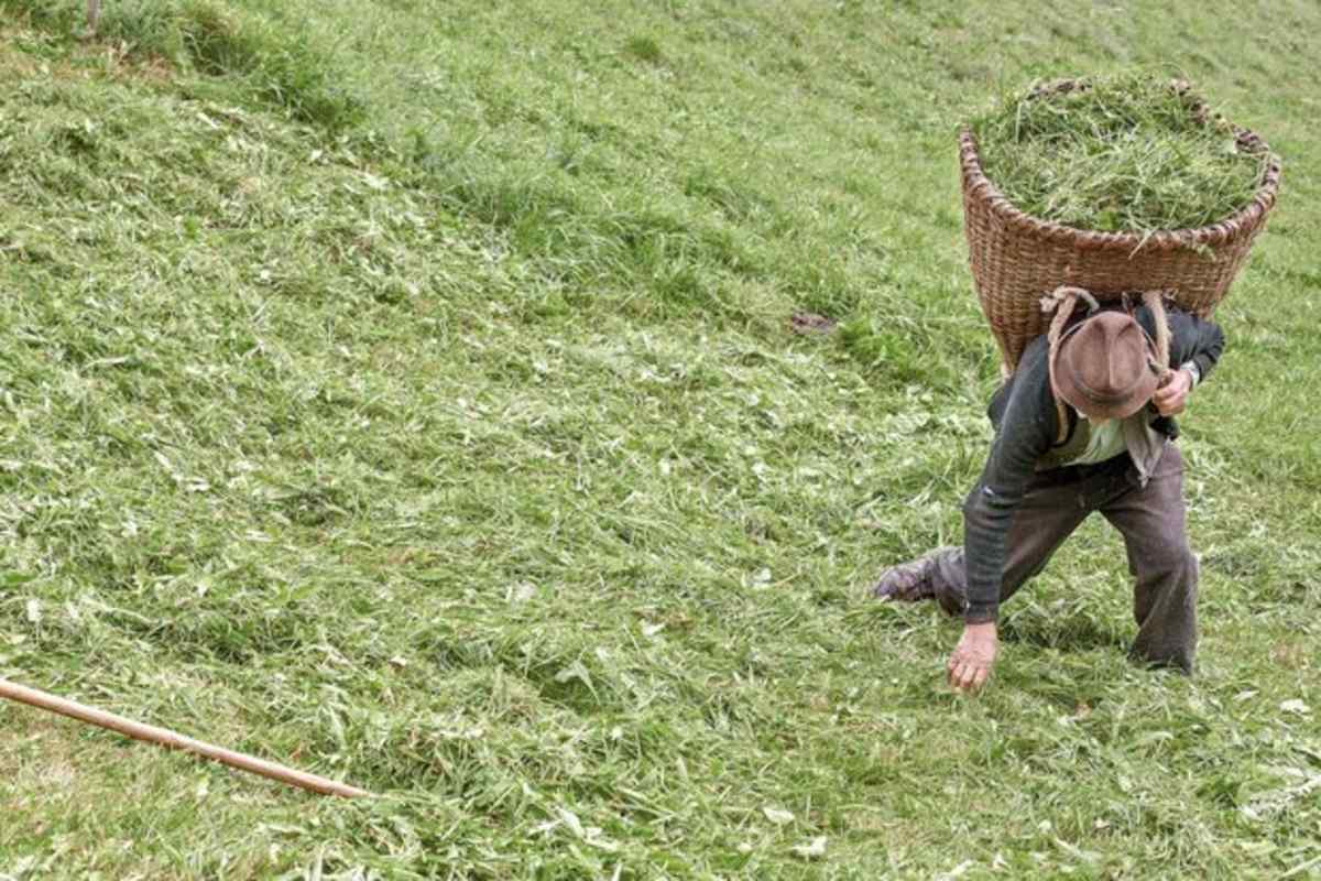 Lebensspuren eines Bergbauern: Von Demut und Genügsamkeit