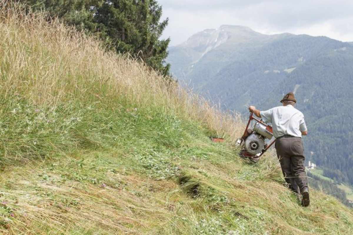 Lebensspuren eines Bergbauern: Von Demut und Genügsamkeit