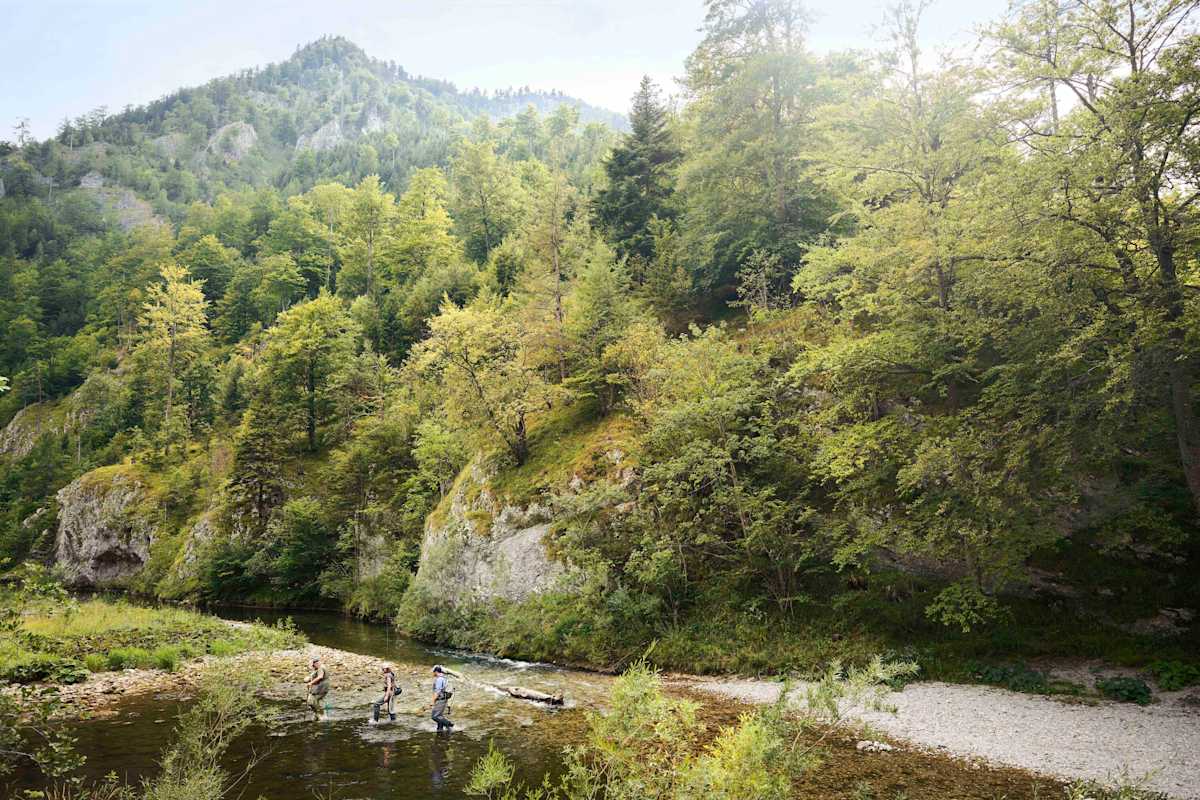 Beim Fliegenfischen führt der Weg oft direkt durch den Fluss. 
