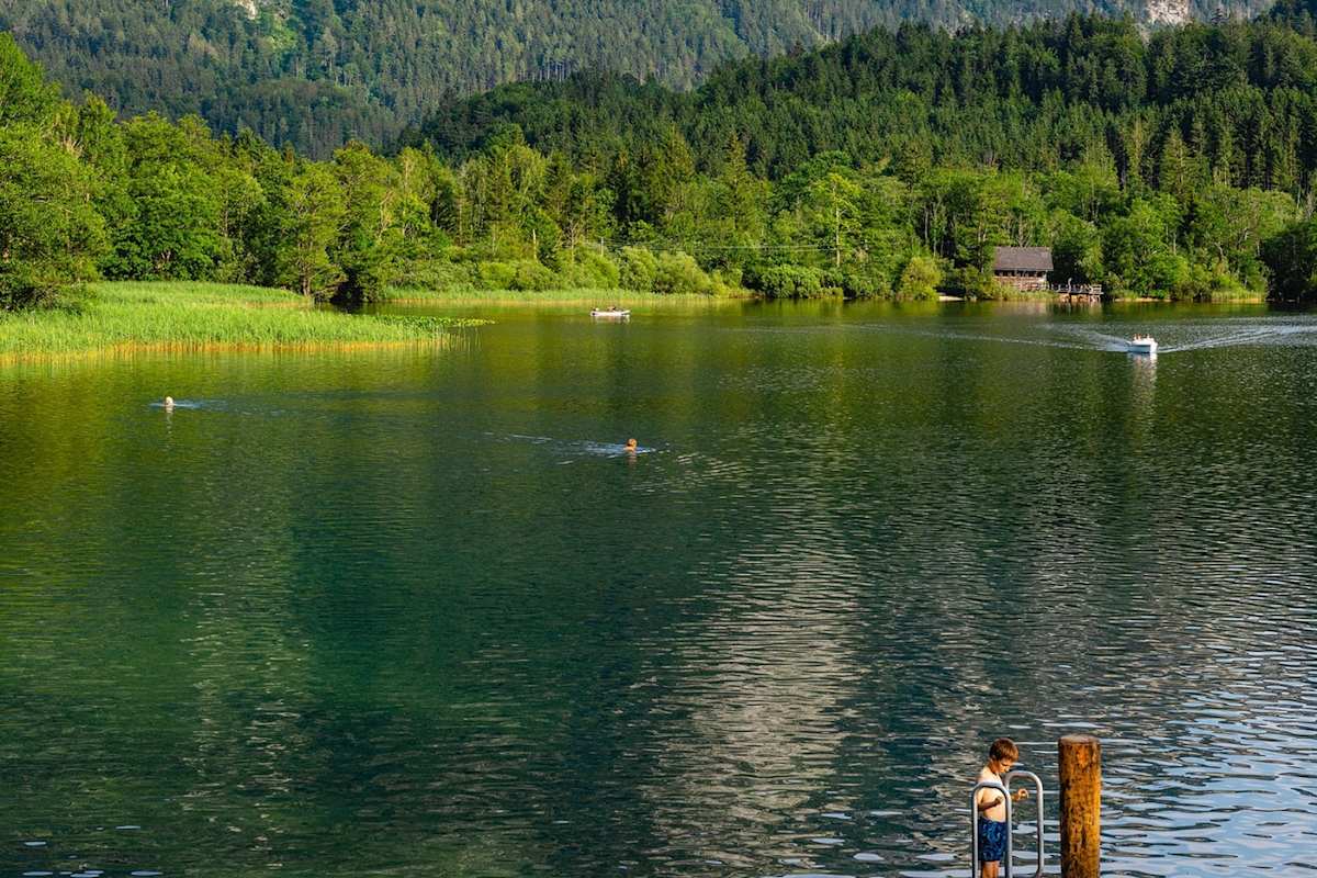 Das Ufer des Lunzer Sees.