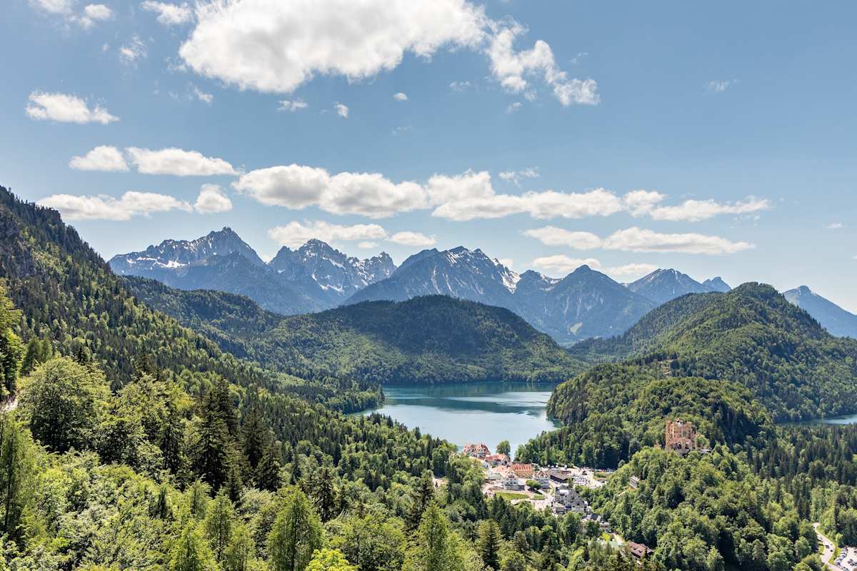 Ausblick zum Alpsee