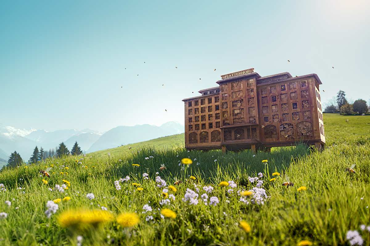 Zu sehen ist eine Blumenwiese auf der sich ein imposantes Bienenhotel in Holzoptik befindet.