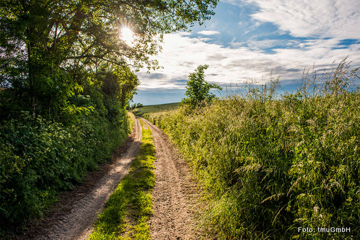 Der Märkische Landweg
