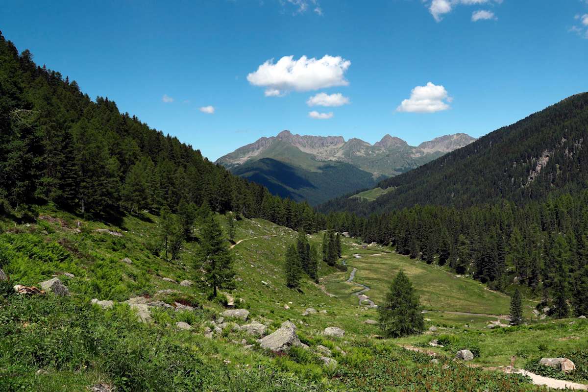 Idyllisch liegt die Malga Candenave zwischen bunten Almwiesen und dunklen Tannenwäldern auf 1.795 Metern.
