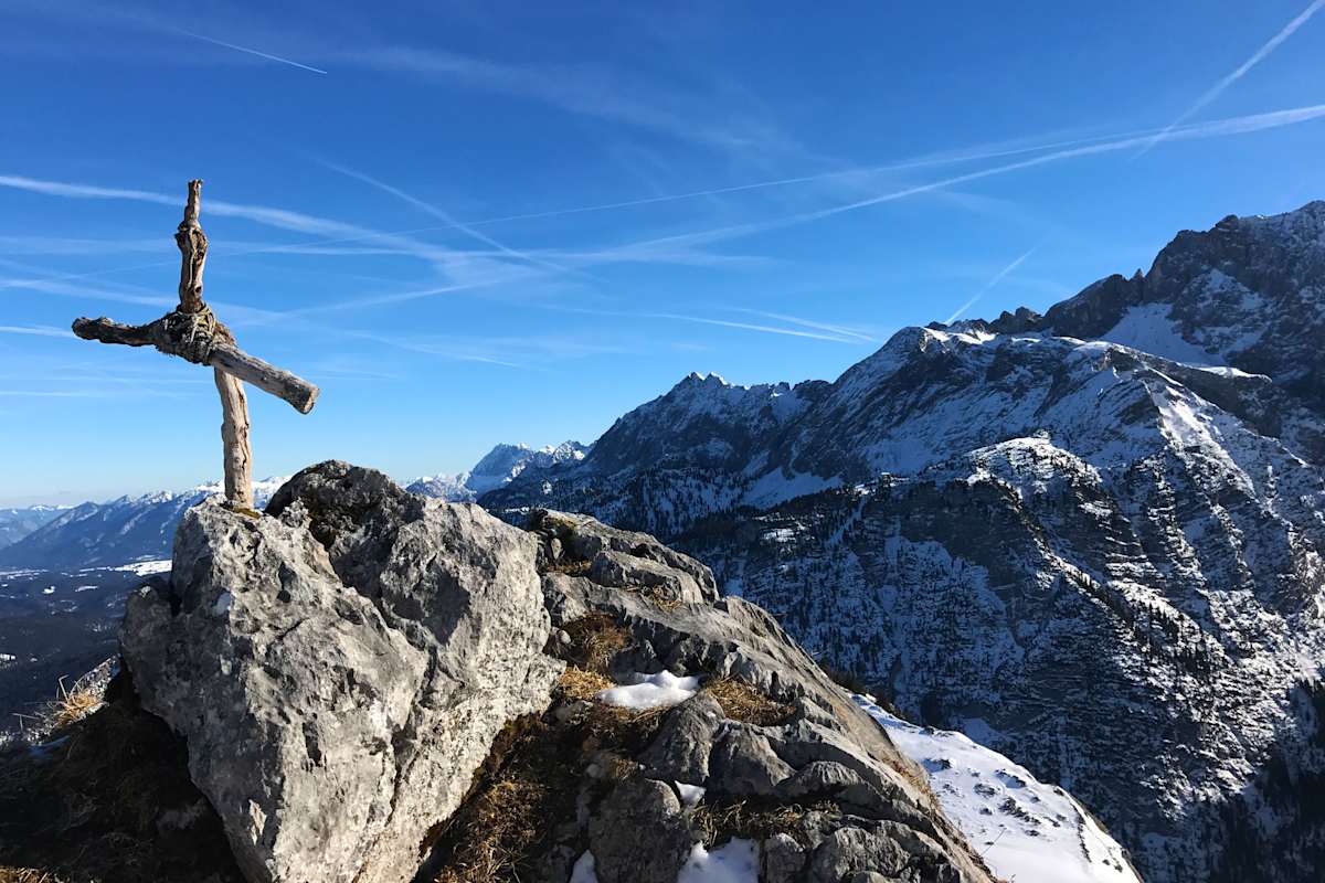 Mauerschartebkopf in Bayern