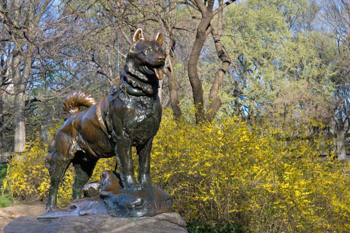 Balto-Denkmal im New Yorker Central Park