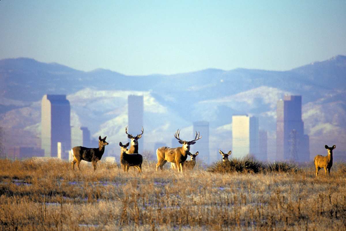 Colorado Outdoor Reisen 2020