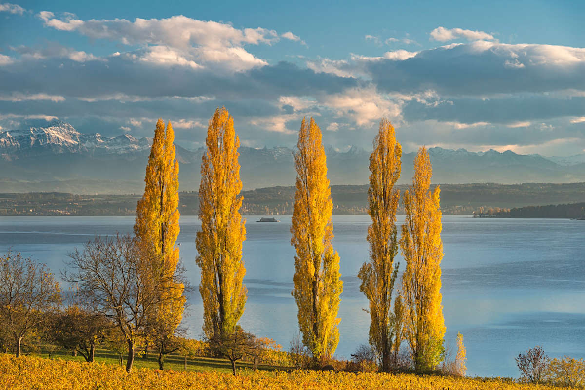 Säntis vom Bodensee aus