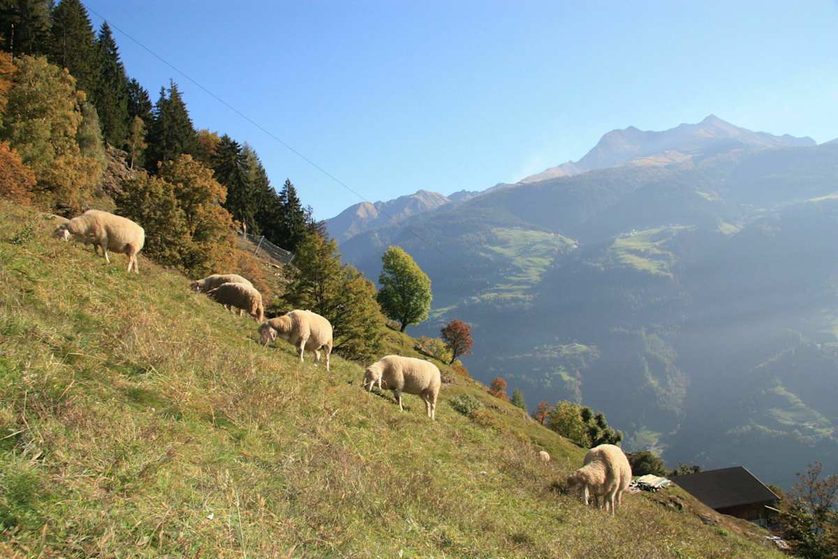 Höhenwege in Südtirol: 7 Tourentipps