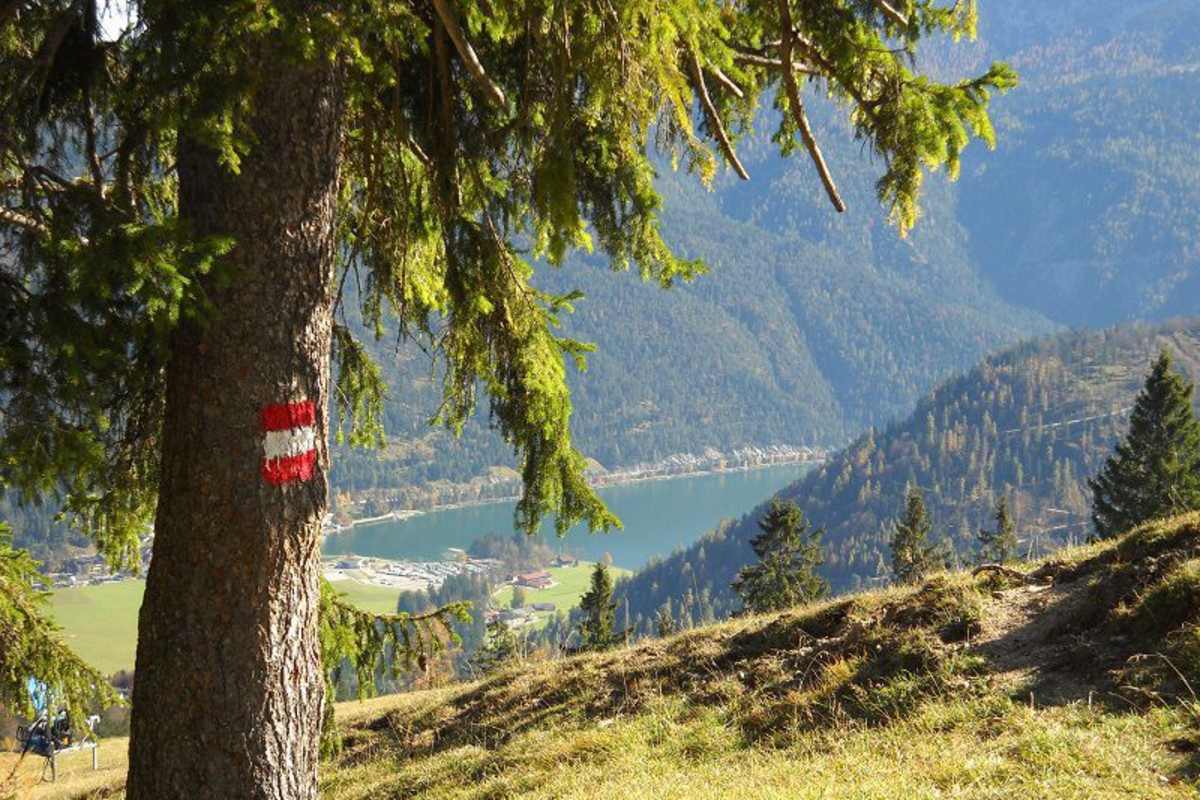 Blick von der Moosenalm auf den Achensee.