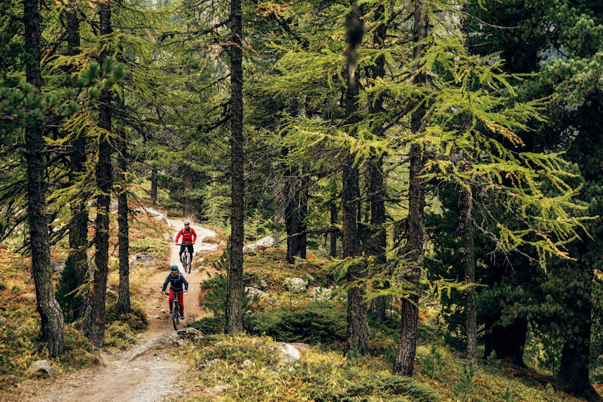 Mountainbiker fahren durch den Wald.