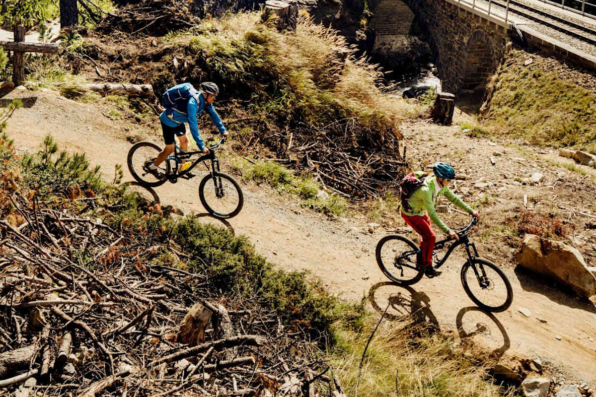 Mountainbiker fahren im Wald.