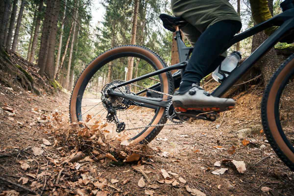 Bergab bietet die Glitz-Alm-Tour Trailvergnügen vom Feinsten.