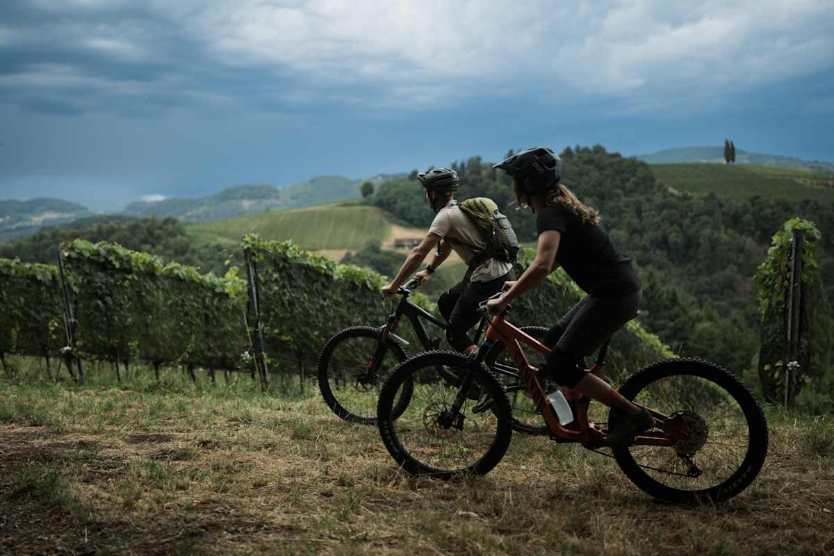 Die Nandlrunde eröffnet immer wieder schöne Weitblicke über die Weinberge.