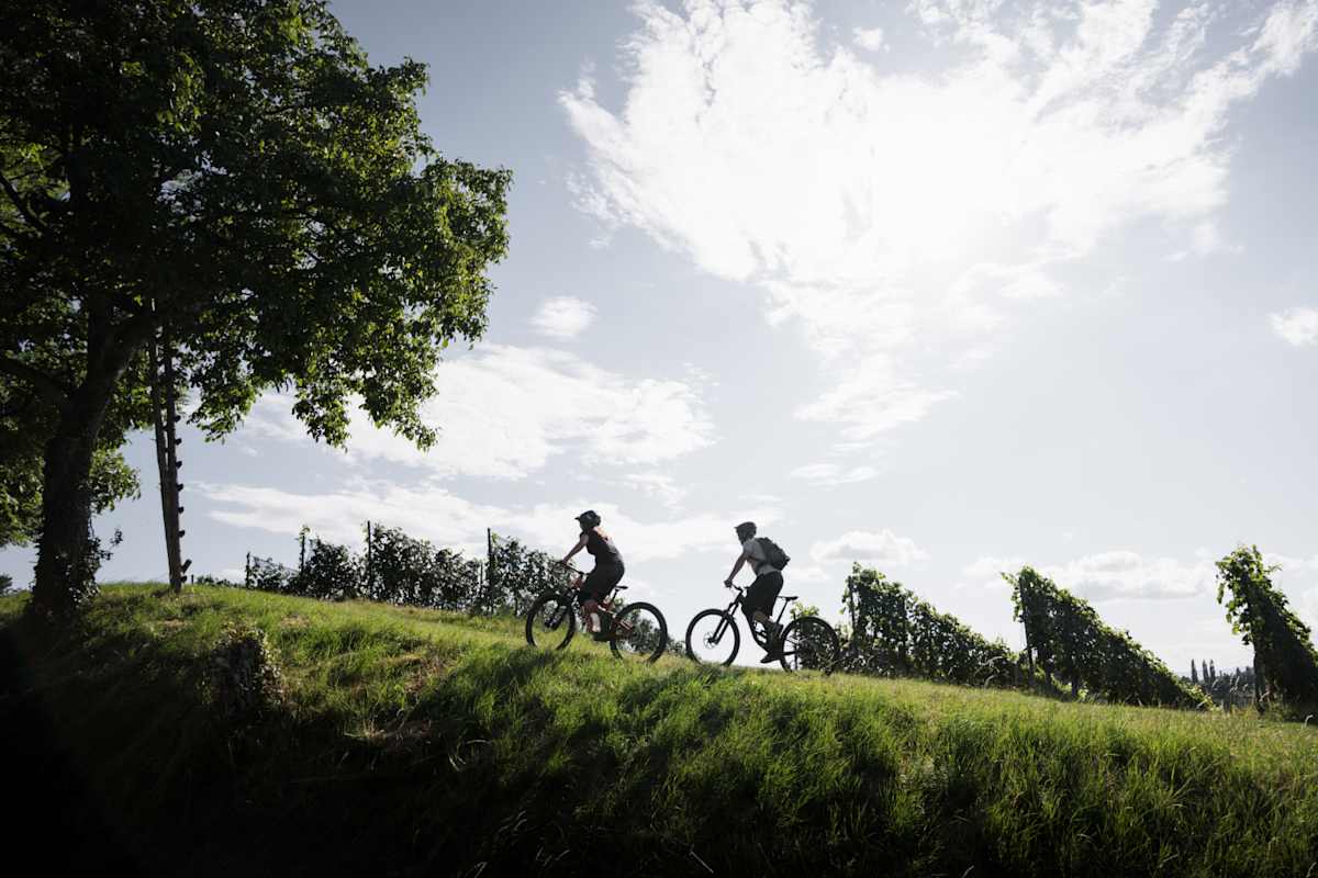 Zwischen Weinbergen und Wäldern können Mountainbiker in der Südsteiermark ihr Können unter Beweis stellen.