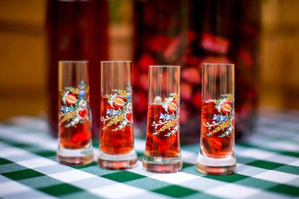 Zirben-Ernte: Hier gibt es den besten Zirbenschnaps