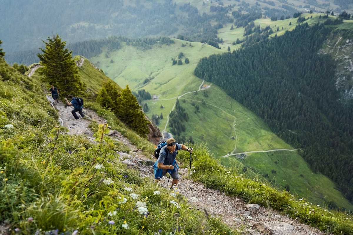 Wanderer beim sportlichen Aufstieg.