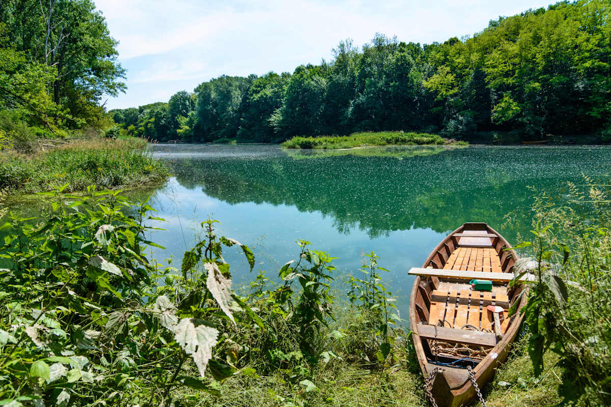Nationalpark Donau-Auen in Niederösterreich