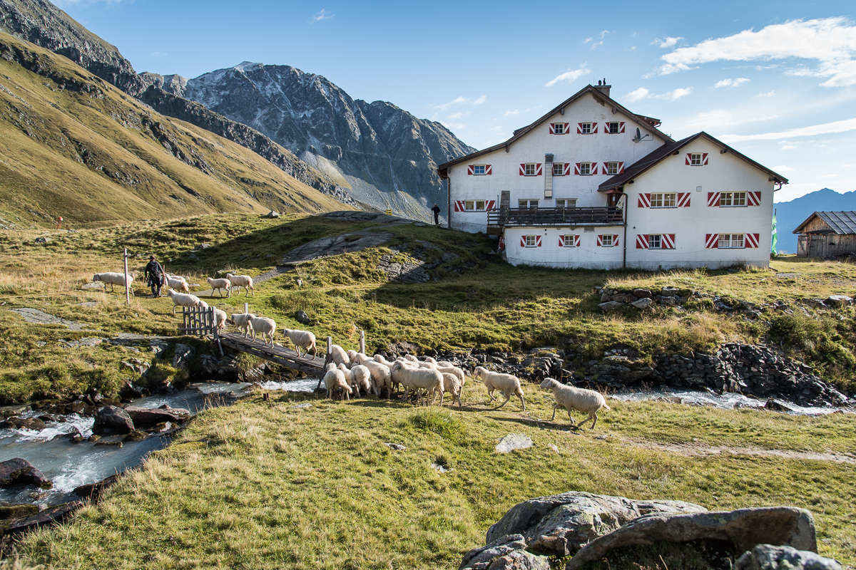 Die Neue Regensburgerhütte auf 2.286 m