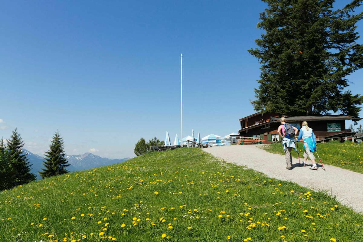 Am Weg zum Berggasthof Neureuth in Bayern