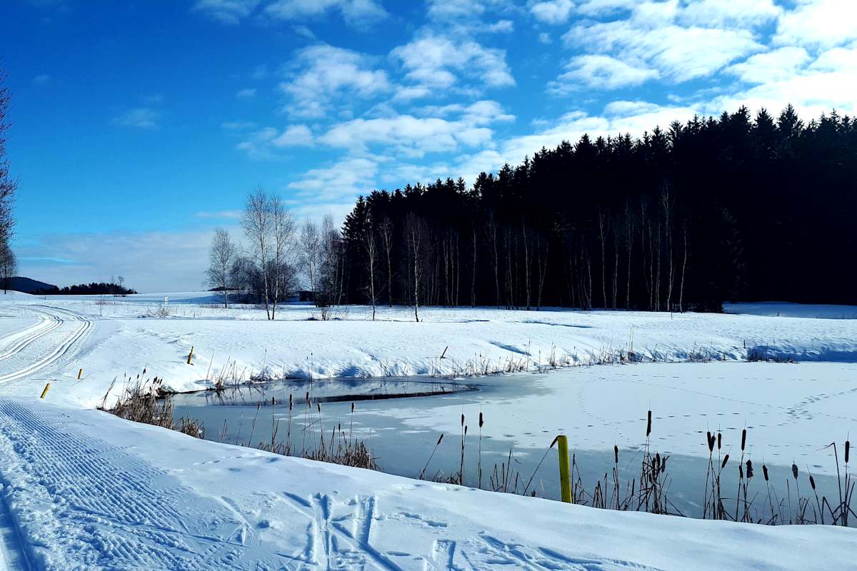 Auf dem 150 Kilometer langen Skifernwanderweg erkundet man den Nationalpark Bayerischer Wald