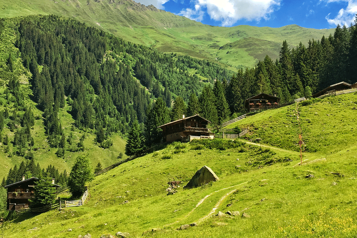 Die Nockeralm im Inneren Valsertal