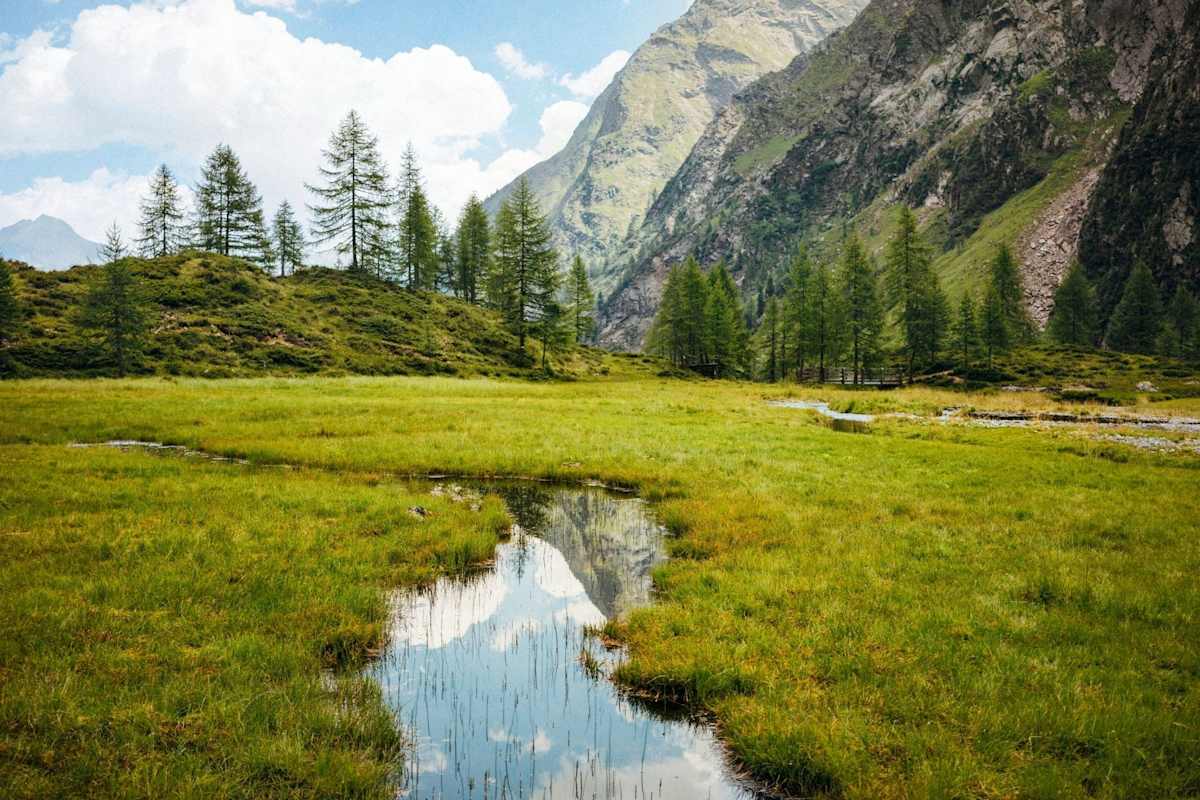 Das saftig grüne Gradenmoos wird beim Zustieg passiert.