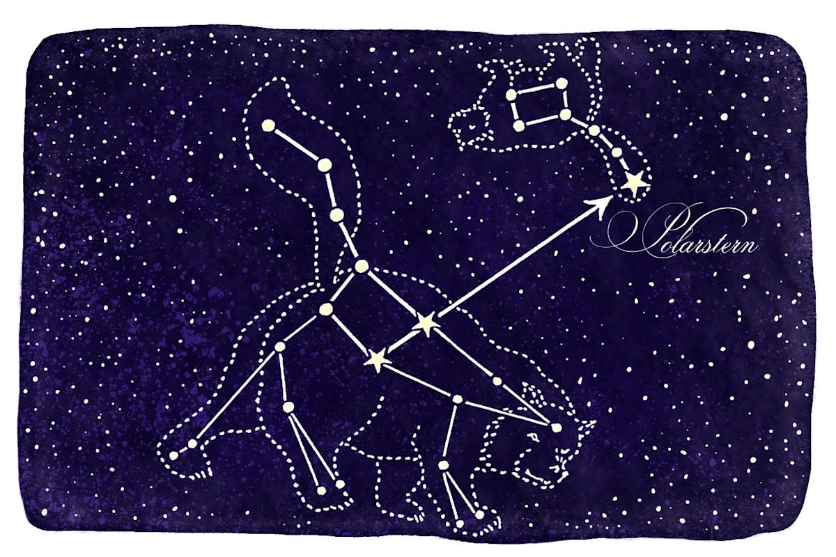 Sternbilder ; kleiner und großer Bär