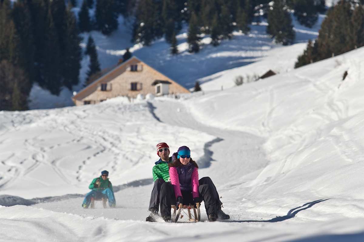 Rodler fetzen die Rodelbahn hinunter.