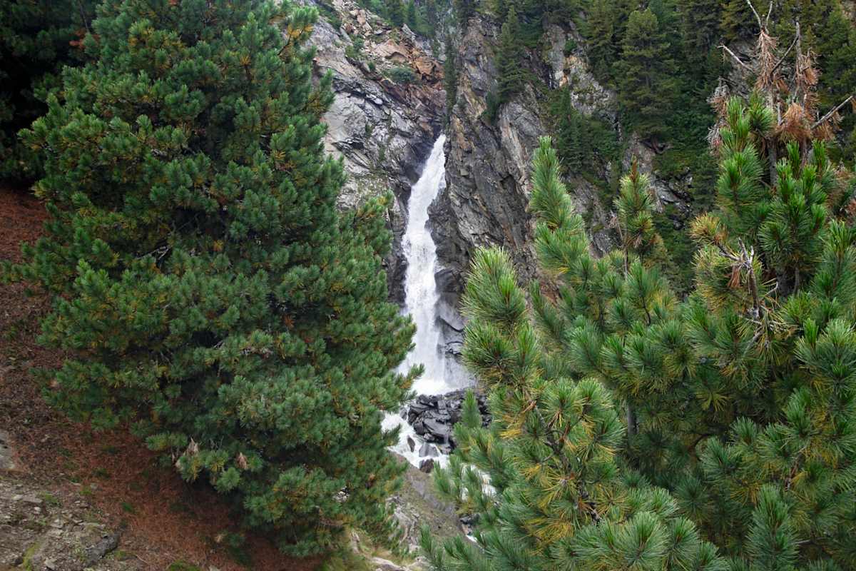 Rotmooswasserfall im Obergurgler Zirbenwald