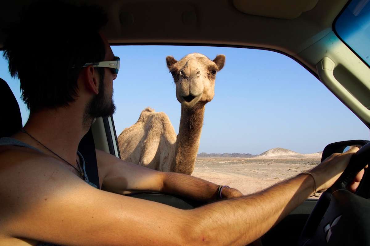 Kemel Oman Klettern Wandern Bergwelten Schöpf