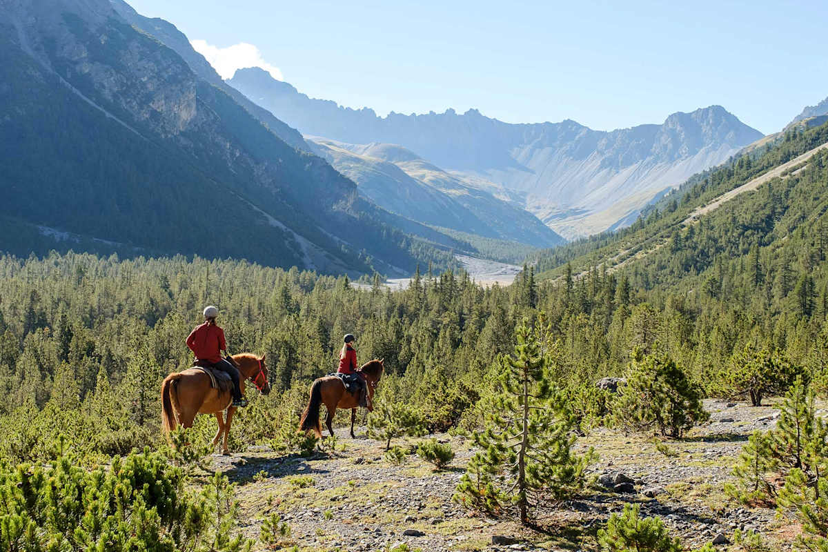 Pferdetrekking Schweiz