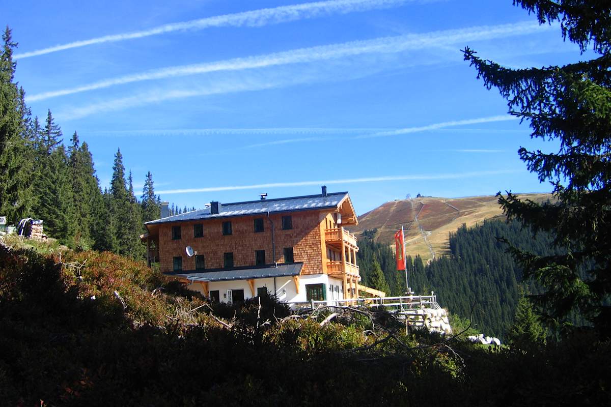 Zirben-Ernte: Hier gibt es den besten Zirbenschnaps