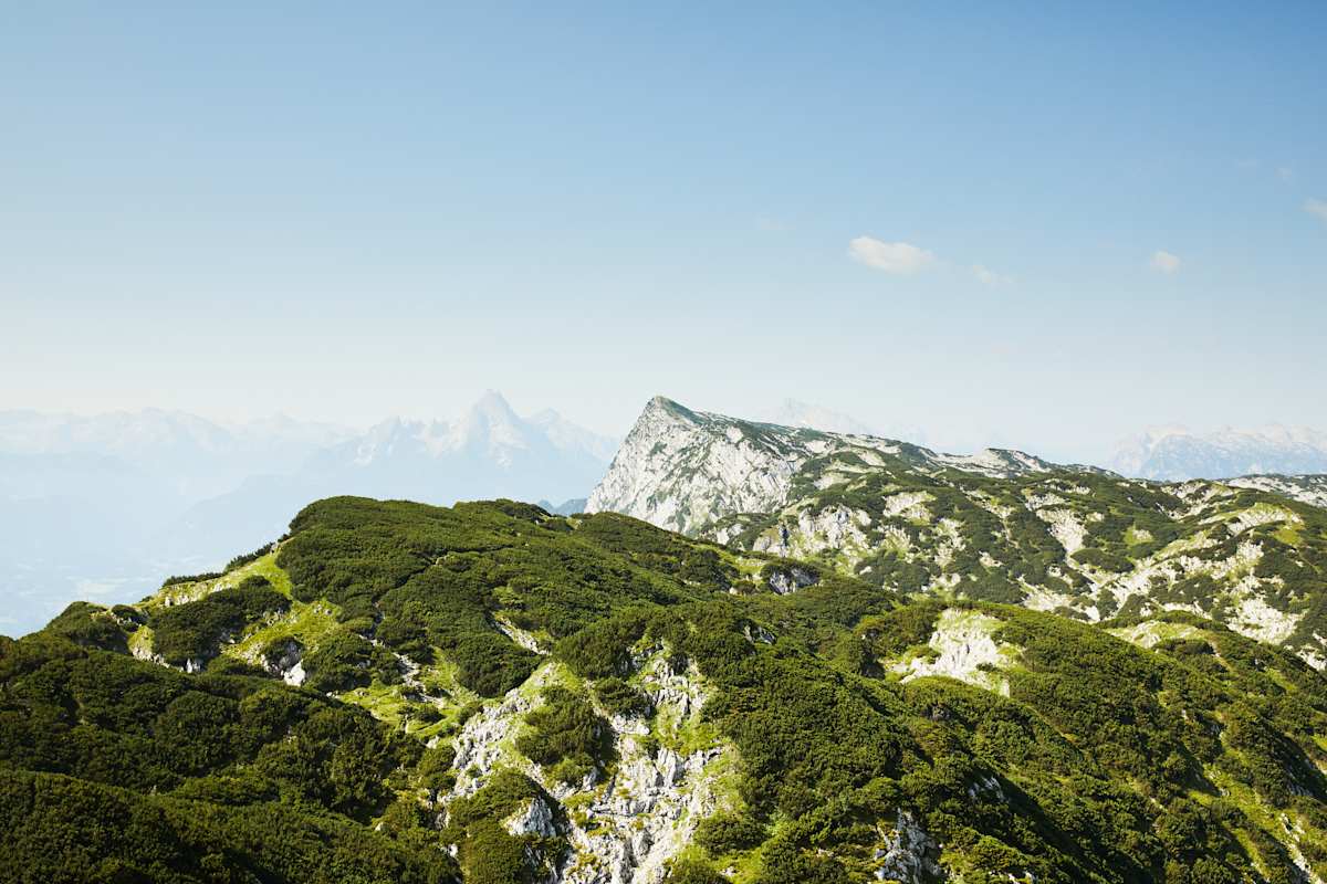 Das flache Untersberg-Plateau mit seinem Latschenbewuchs wird oft unterschätzt. Es gibt zahllose Bodenspalten.