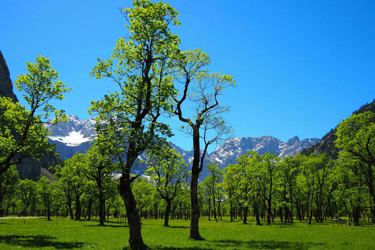 Radeln im Karwendel: Zum Plumsjoch in Tirol