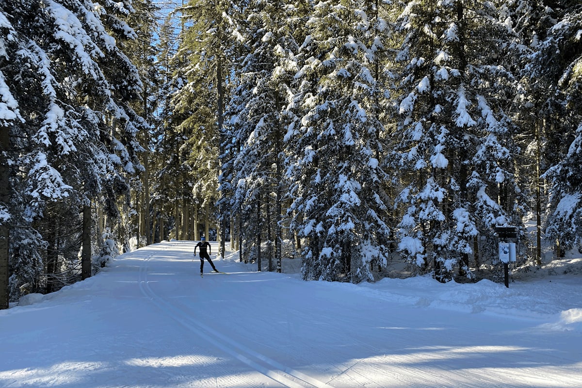 Der Biathlet Lukas Hofer zeigt uns die schönsten Loipen seiner Heimat Südtirol