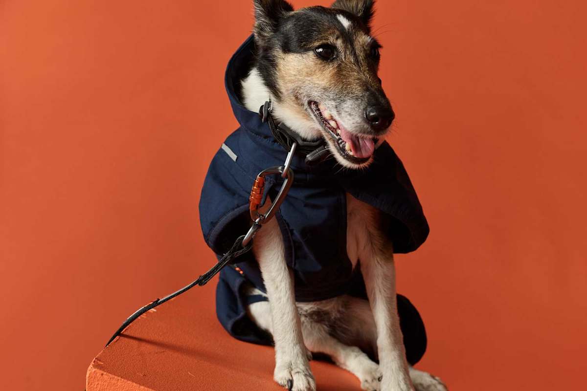 Mantel Non-Stop für Hunde