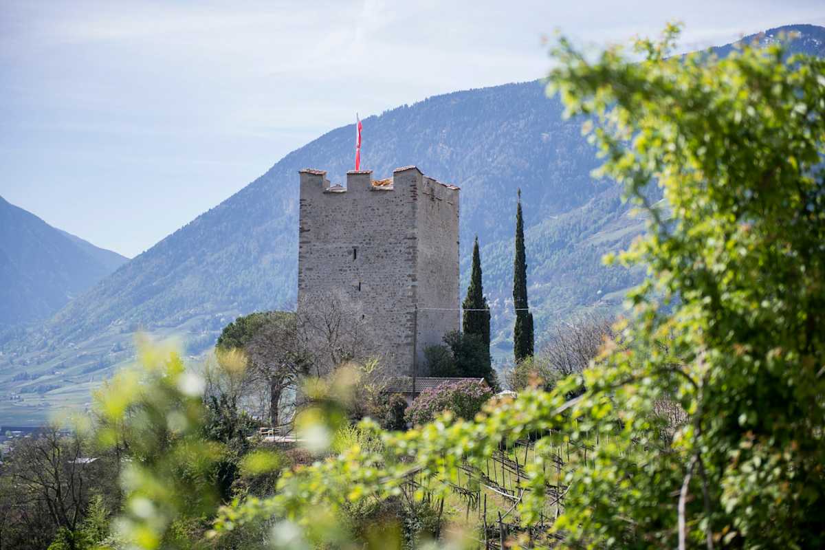 Pulverturm über Meran zwischen Bäumen