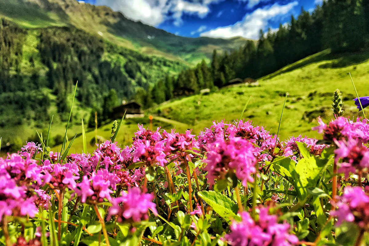 Freiwilligenarbeit am Berg: Was dem modernen Menschen fehlt