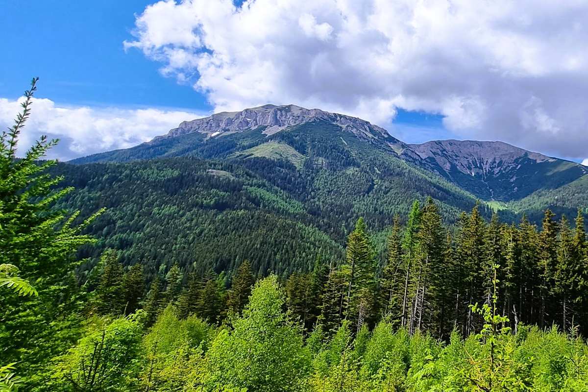 Von der Hohen Scheibe genießt man einen schönen Blick auf die Rax.