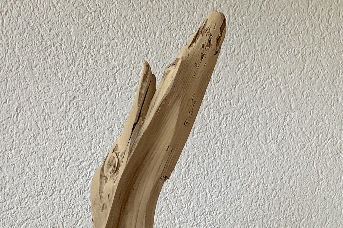 Reiner Taglinger fertigt Skulpturen aus Treibholz an