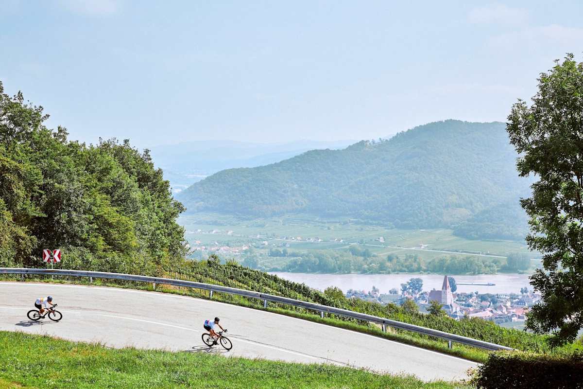 Blick von der Seiberer Straße in das Donautal