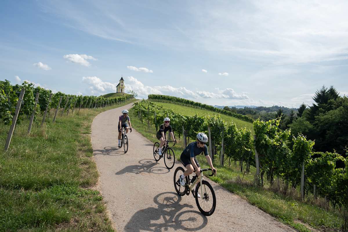 Rennradfahren in der Südsteiermark